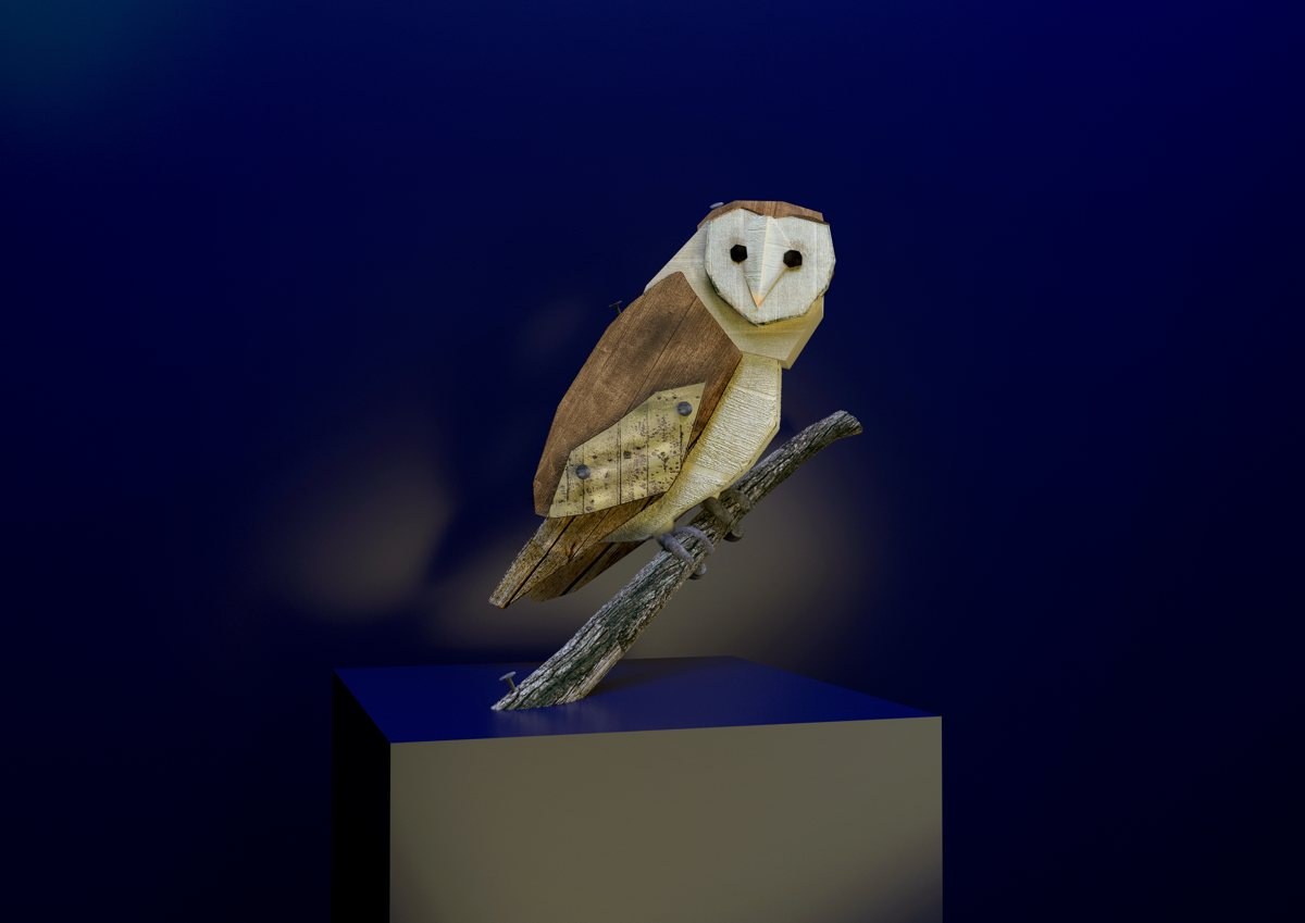 Barn Owl