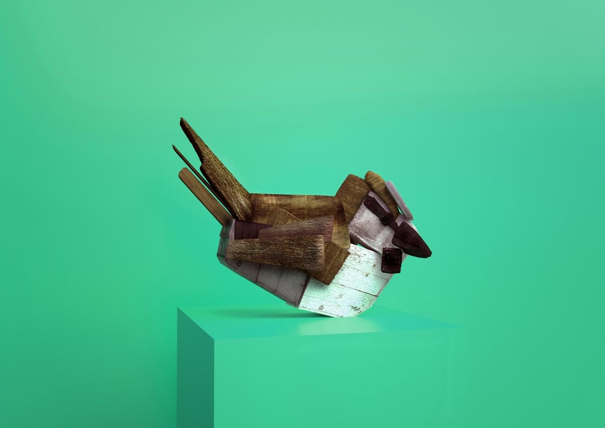 House Sparrow
