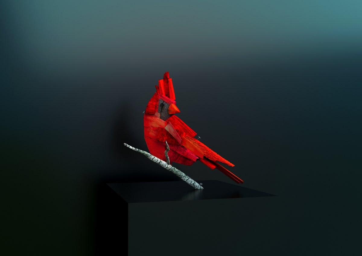 Northern Cardinal