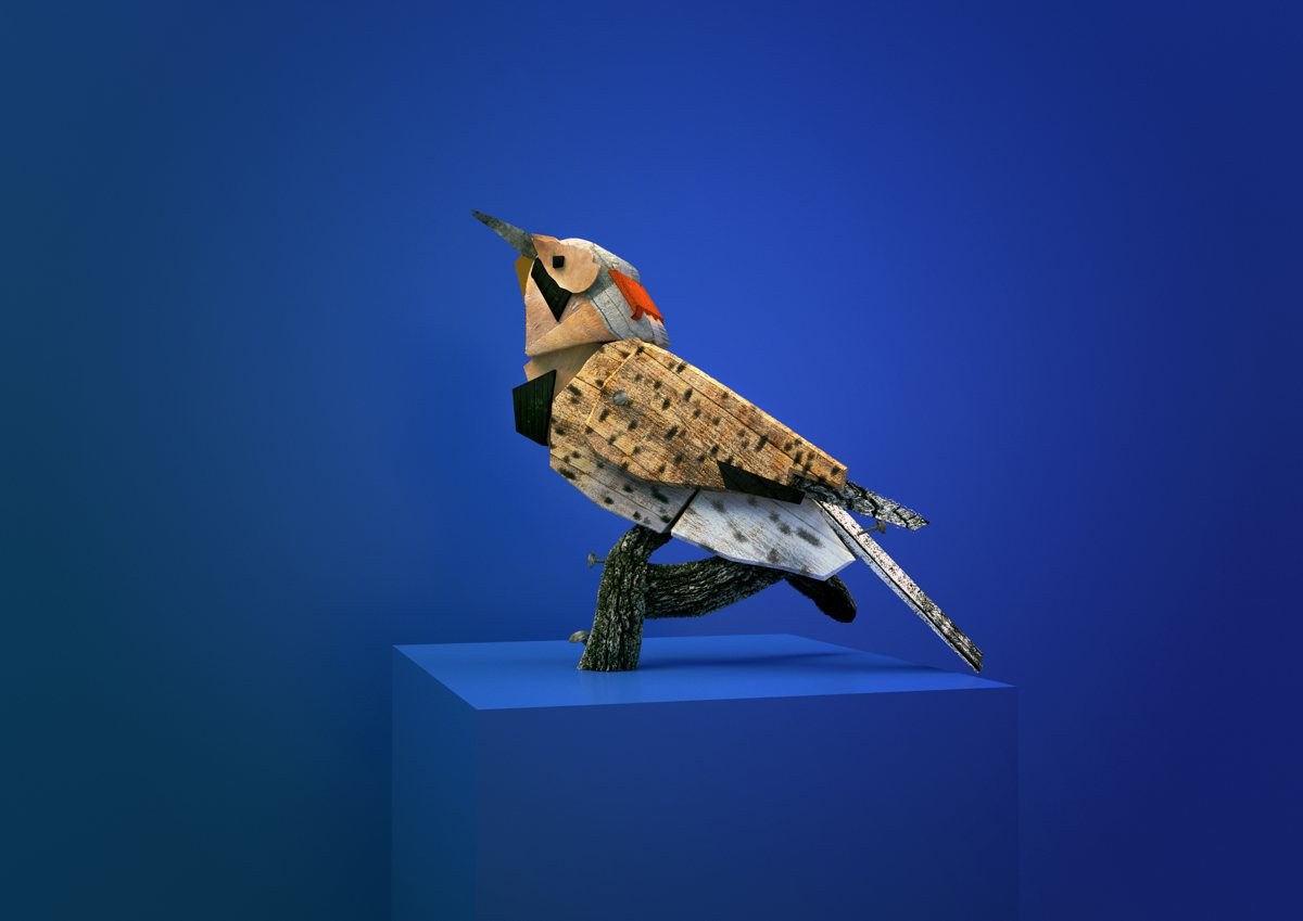Northern Flicker