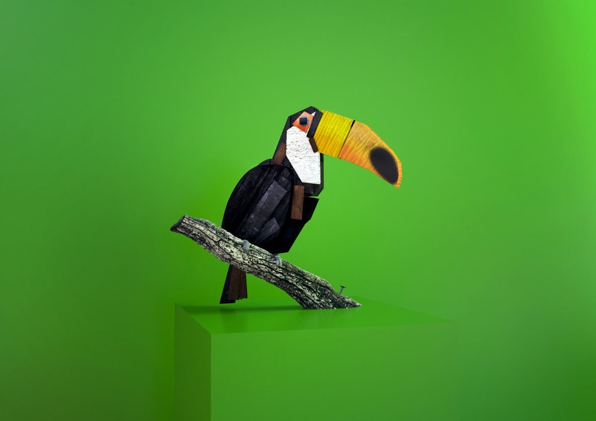 Toco Toucan