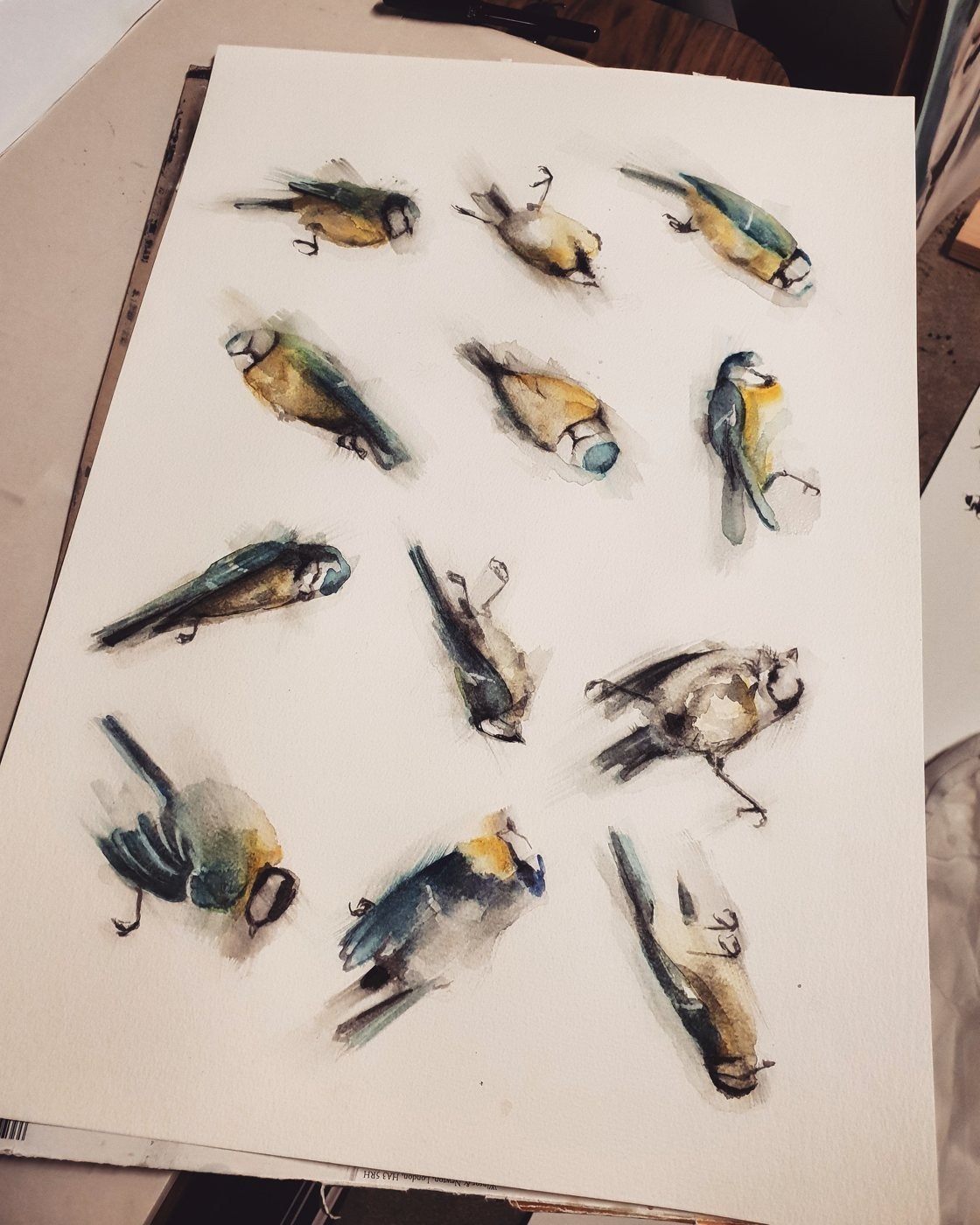 Garden Birds