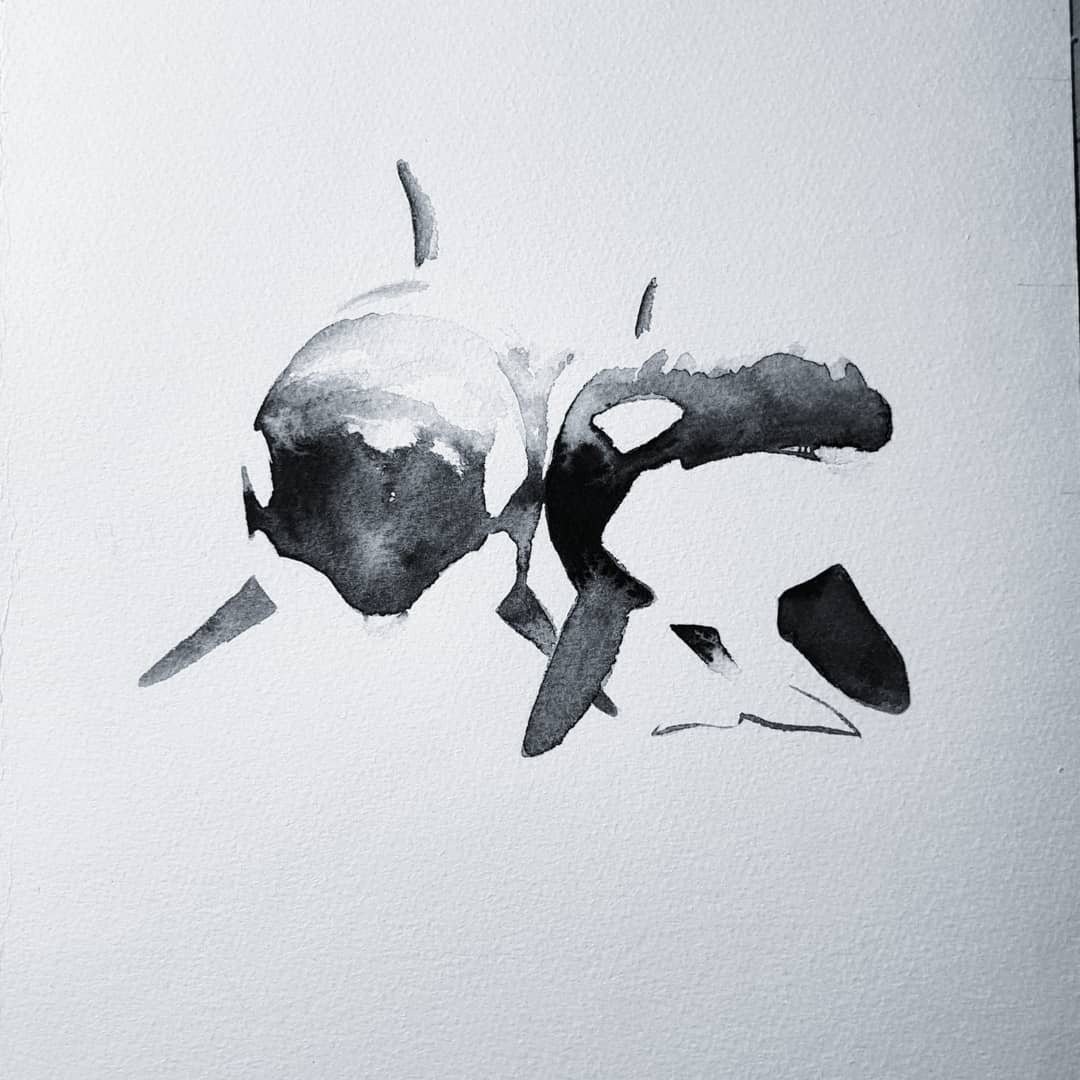 Orca